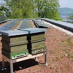 Szálloda Jaegermayrhof