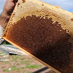 Jaegermayrhof * Linz