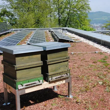 Отель Jaegermayrhof