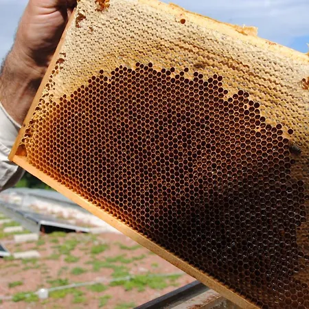 Jaegermayrhof * Линц