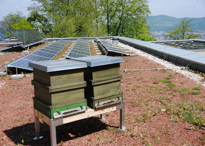 فندق Jaegermayrhof